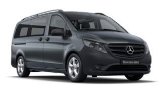 Private Minivan